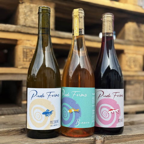Piede Fermo Craft Wine