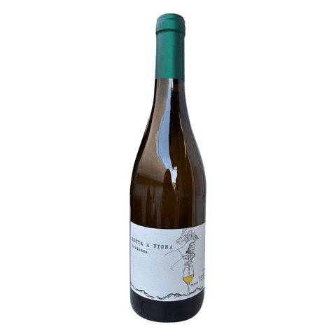 Trubazza 2022 Zibibbo | 12,0% | Vino Bianco 75 Cl.