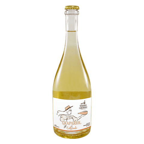 Bollicine